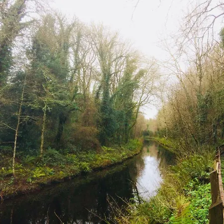 Archie's Rest Drumshanbo