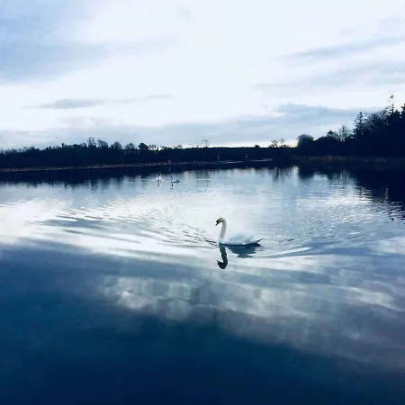 Archie's Rest Nyaraló Drumshanbo