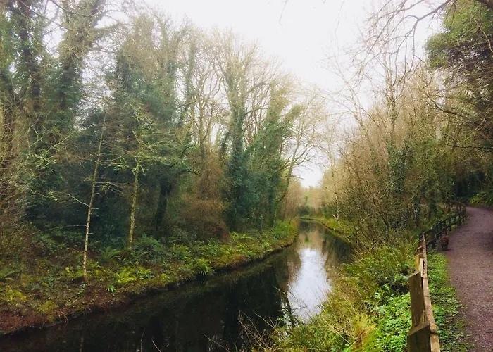 Archie's Rest Drumshanbo