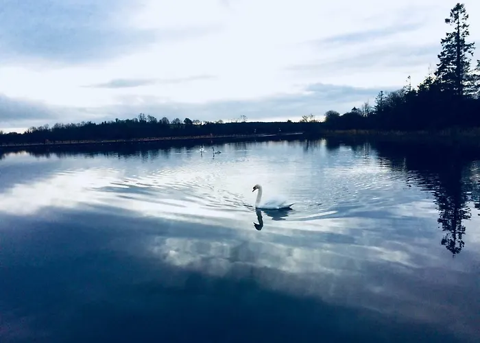 Archie's Rest Сasa de vacaciones Drumshanbo